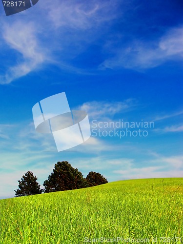 Image of Summer