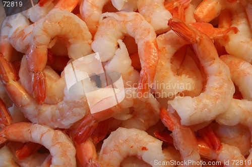 Image of Cooked Shrimp