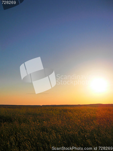 Image of Field