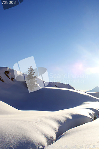 Image of Winter