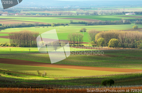 Image of Spring fields. Germany