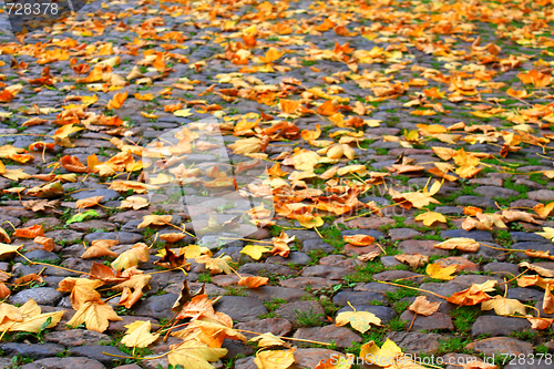 Image of Autumn