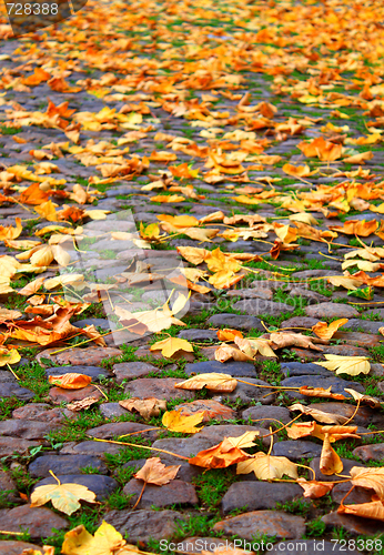 Image of Autumn