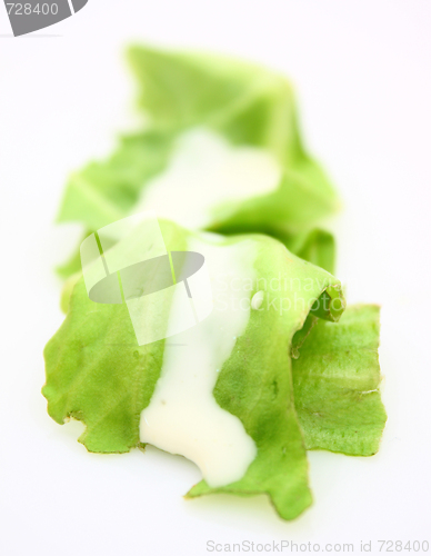 Image of Salad