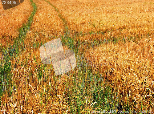 Image of Field