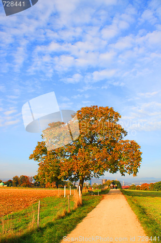 Image of Autumn