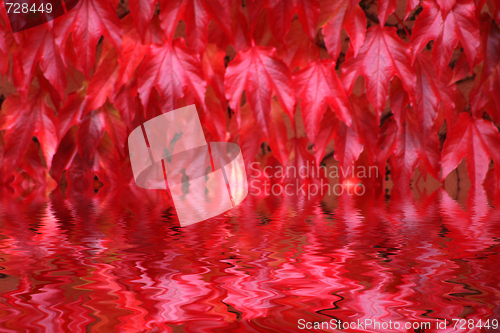 Image of Autumn