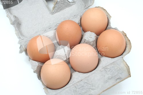 Image of A Carton of Eggs