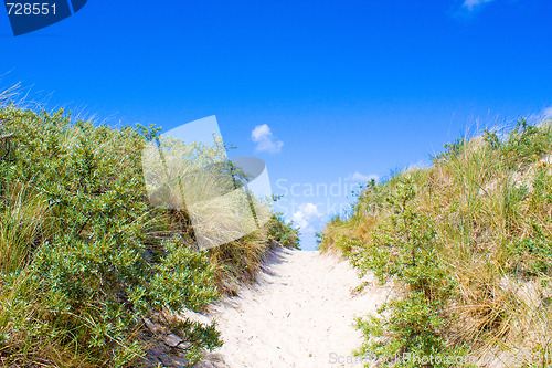 Image of Dunes