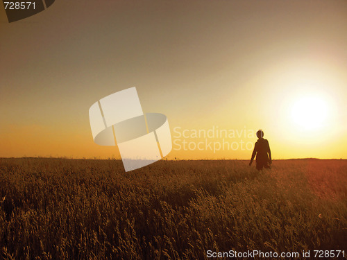 Image of Field