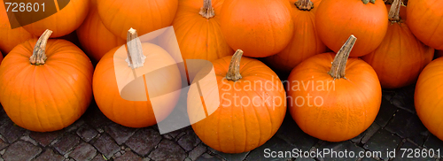 Image of Group of pumpkins on pavements
