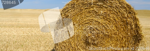 Image of panoramic view of hay bale 