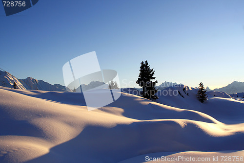Image of Winter