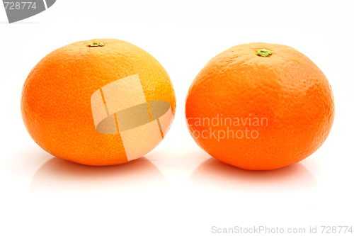 Image of Mandarin