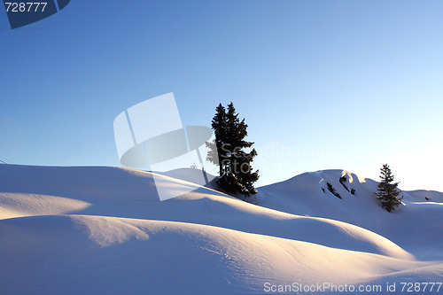 Image of Winter