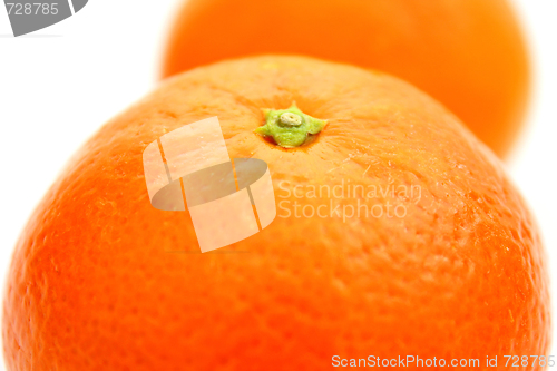 Image of Mandarin