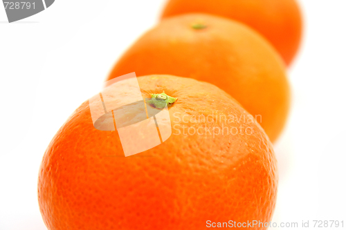 Image of Mandarin