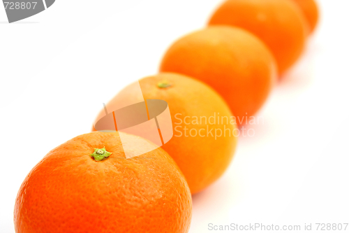 Image of Mandarin