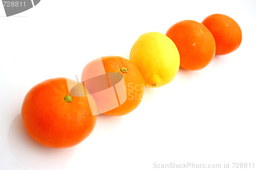 Image of lemons and mandarins