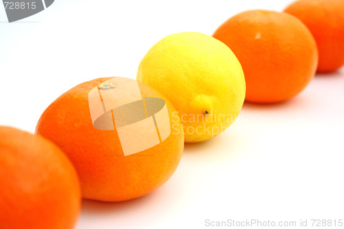 Image of lemons and mandarins