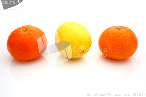 Image of lemons and mandarins