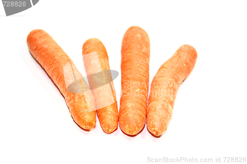 Image of carrot