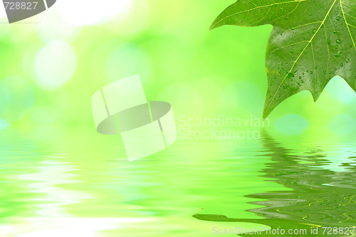 Image of Spring