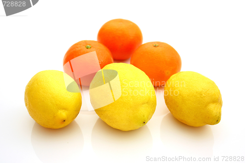 Image of lemons and mandarins