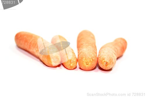 Image of carrot