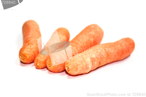 Image of carrot