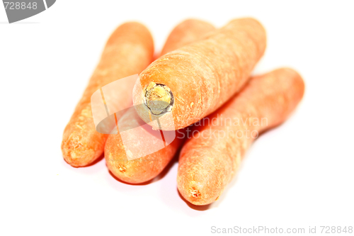 Image of carrot