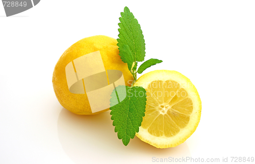 Image of Lemon