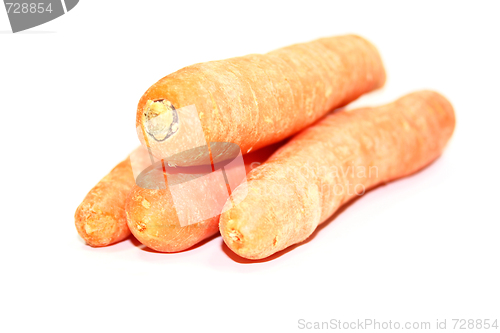 Image of carrot