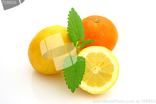 Image of lemons and mandarins