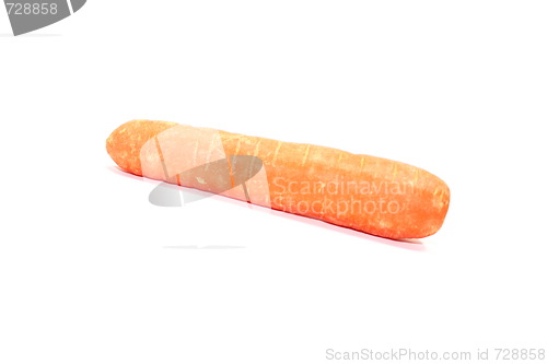 Image of carrot