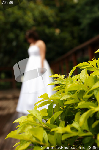 Image of Bride