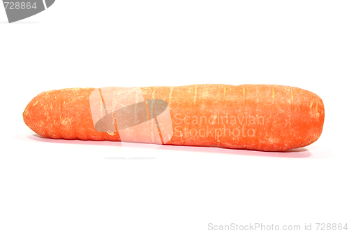 Image of carrot