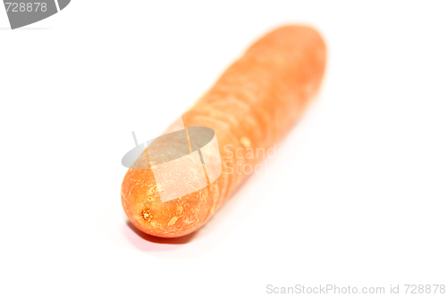 Image of carrot