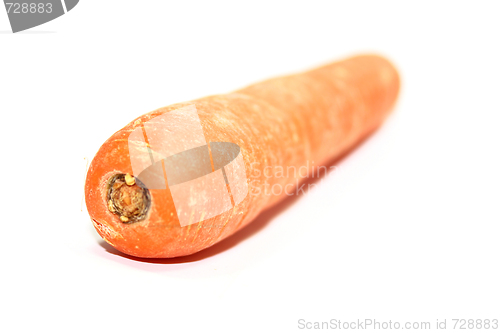 Image of carrot