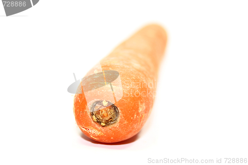 Image of carrot