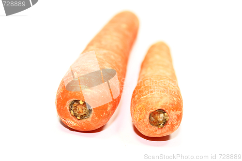 Image of carrot