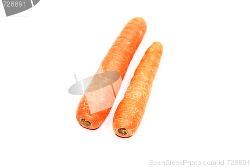 Image of carrot