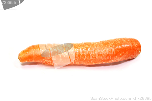 Image of carrot