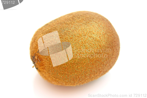 Image of Kiwi,