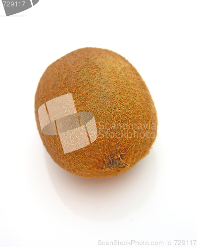 Image of Kiwi,