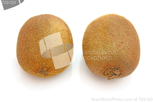 Image of Kiwi,