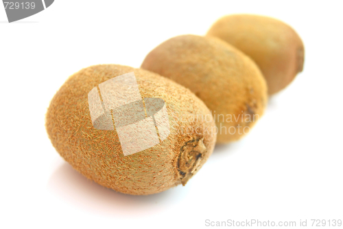 Image of Kiwi,