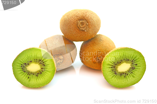 Image of Kiwi,