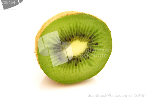 Image of Kiwi,