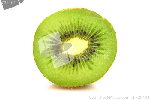 Image of Kiwi,